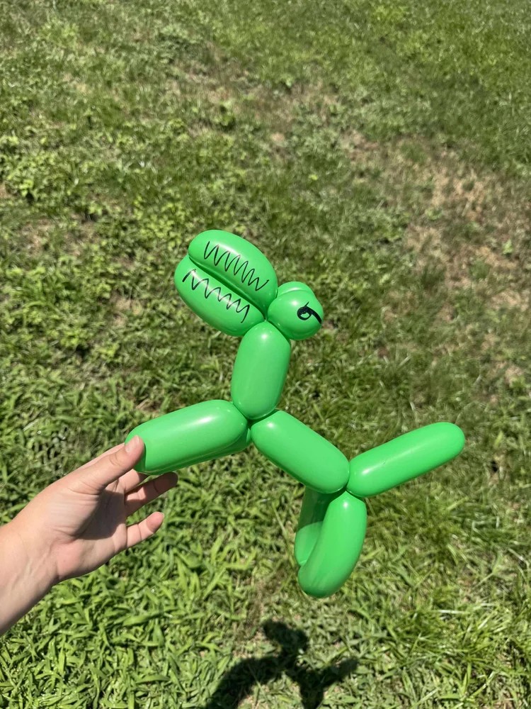 Dragon Balloon Sculpture Fort Worth Dallas Texas - Creative Balloon Art for Kids Events Birthday Parties School Carnivals